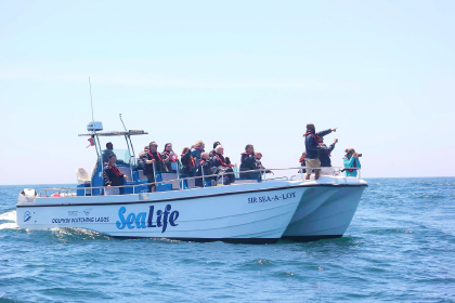  2021 — Reconnecting with the Sea